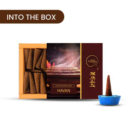 Bhagvan Havan Organic Dhoop Cone - Bhagvan